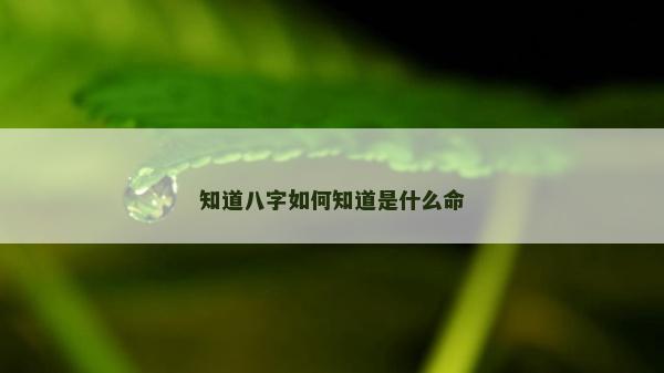 知道八字如何知道是什么命