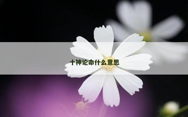 十神論命什么意思
