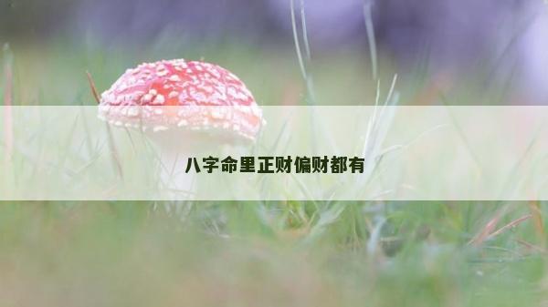 八字命里正財偏財都有