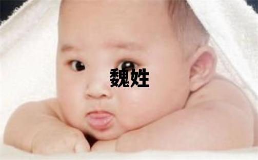 魏姓冷門獨特的女孩名字,取什么名字好