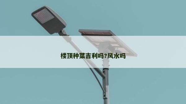 樓頂種菜吉利嗎?風水嗎