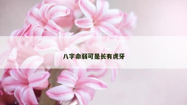八字命弱可是長有虎牙