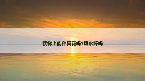 樓梯上能種荷花嗎?風(fēng)水好嗎