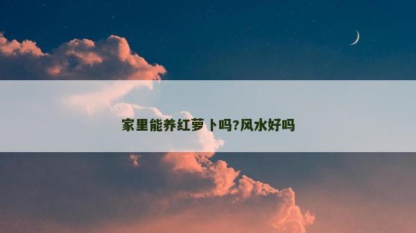 家里能養紅蘿卜嗎?風水好嗎