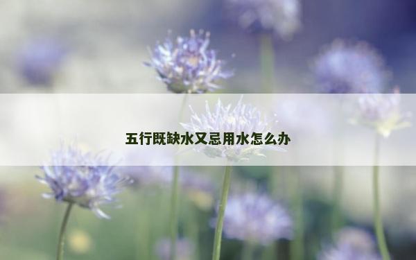 五行既缺水又忌用水怎么辦