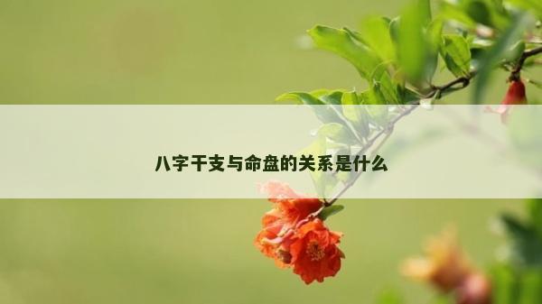 八字干支與命盤的關系是什么