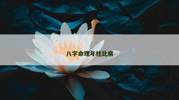 八字命理年柱比肩