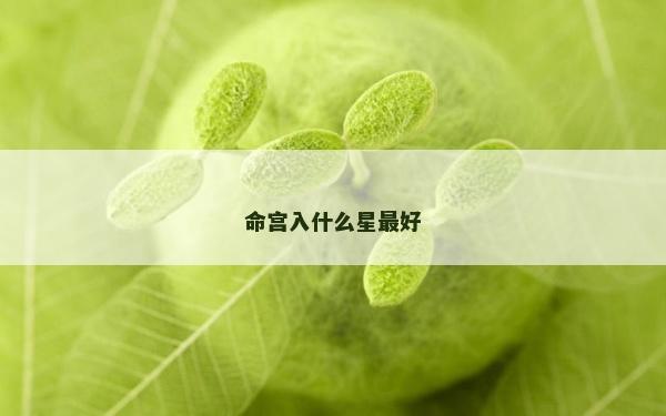 命宮入什么星最好