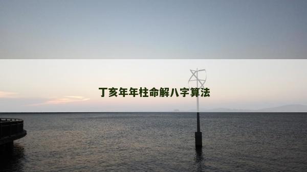 丁亥年年柱命解八字算法