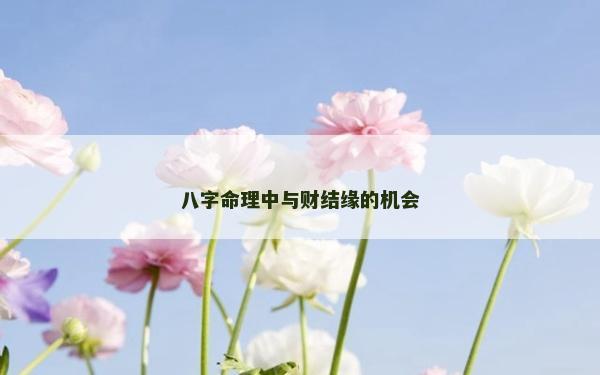 八字命理中與財結緣的機會