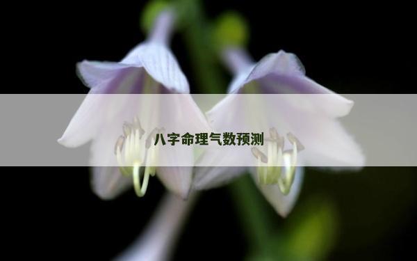 八字命理氣數預測