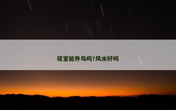 寢室能養(yǎng)鳥嗎?風(fēng)水好嗎
