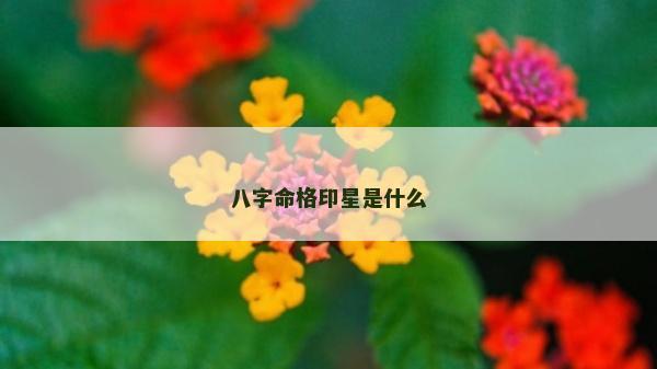 八字命格印星是什么