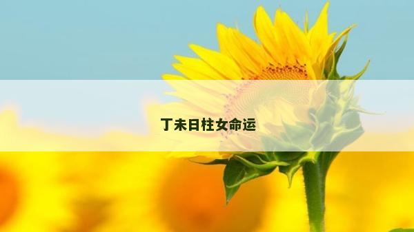 丁未日柱女命運