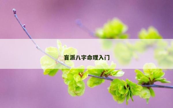 盲派八字命理入門