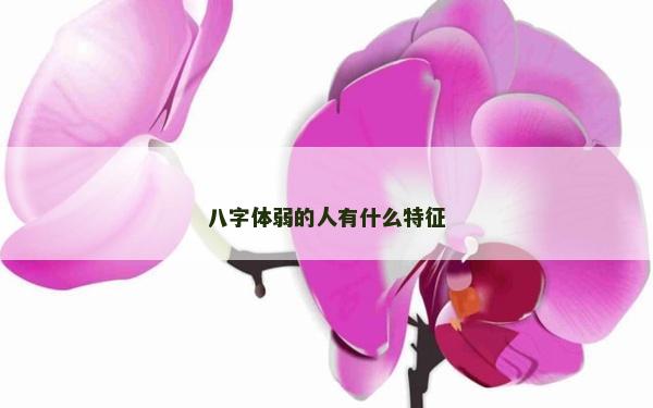 八字體弱的人有什么特征