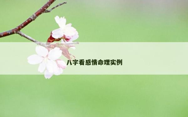 八字看感情命理實(shí)例