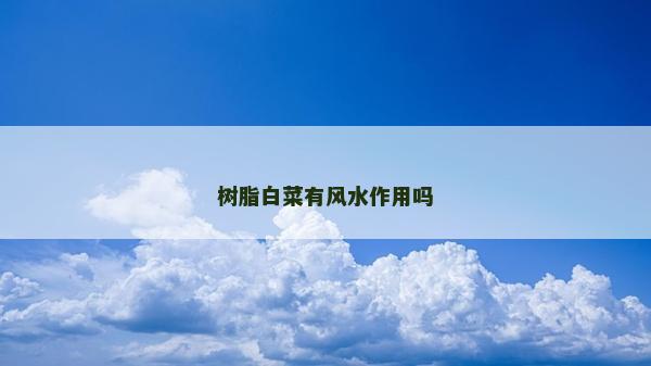 樹脂白菜有風水作用嗎