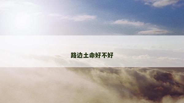 路邊土命好不好