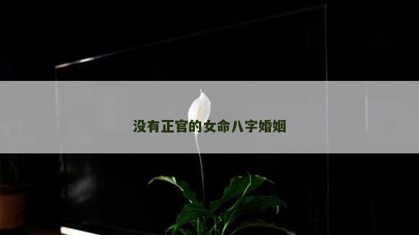 沒有正官的女命八字婚姻