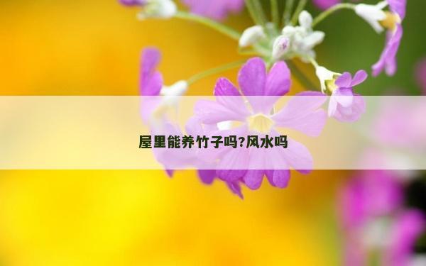 屋里能養竹子嗎?風水嗎 屋里能養竹子嗎?風水嗎