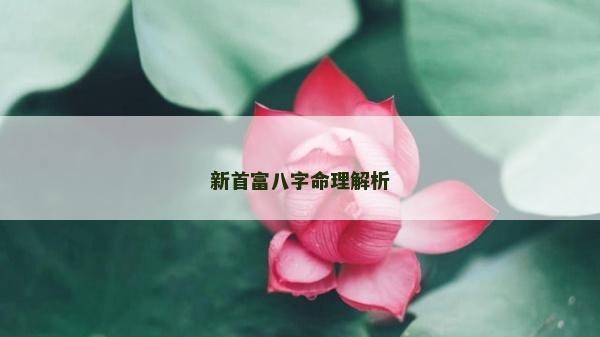 新首富八字命理解析