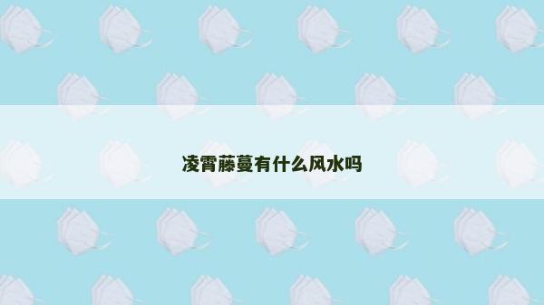 凌霄藤蔓有什么風水嗎
