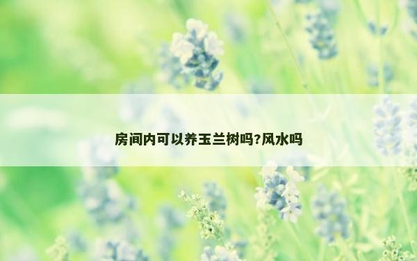 房間內(nèi)可以養(yǎng)玉蘭樹嗎?風(fēng)水嗎