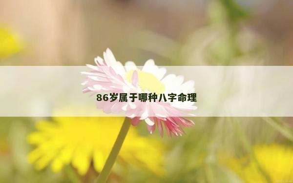 86歲屬于哪種八字命理