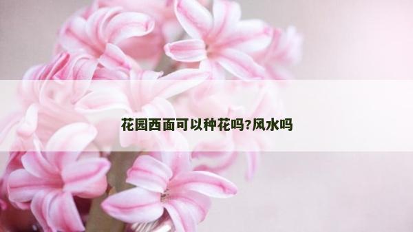 花園西面可以種花嗎?風水嗎