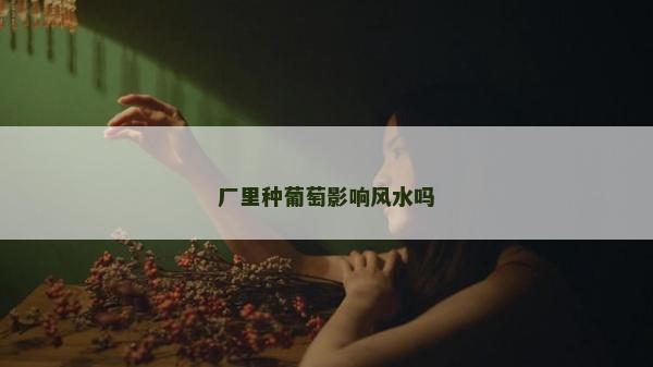 廠里種葡萄影響風(fēng)水嗎