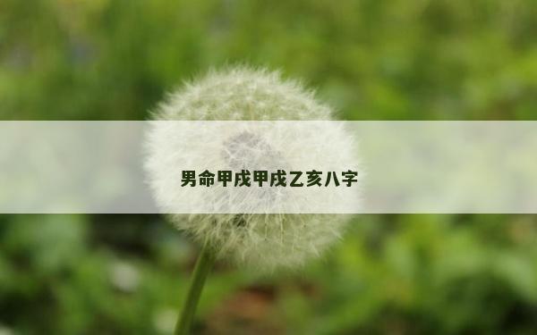 男命甲戌甲戌乙亥八字