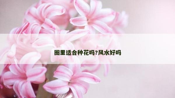 圈里適合種花嗎?風水好嗎