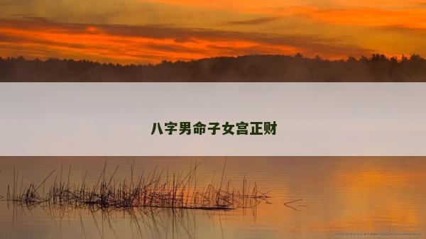 八字男命子女宮正財