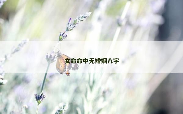 女命命中無婚姻八字