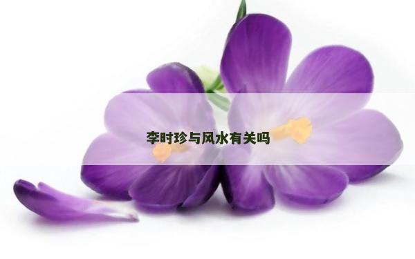 李時珍與風水有關嗎