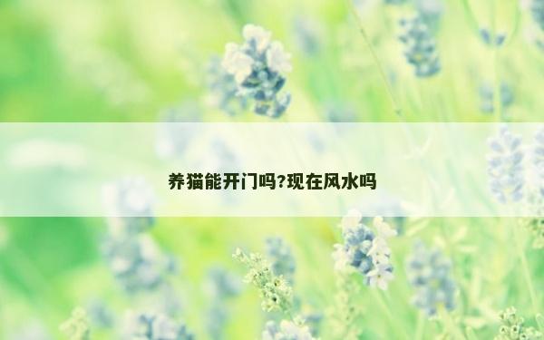 養(yǎng)貓能開門嗎?現(xiàn)在風(fēng)水嗎