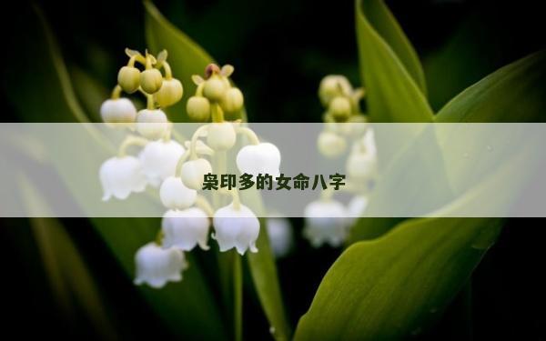 梟印多的女命八字