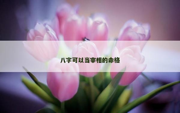 八字可以當宰相的命格