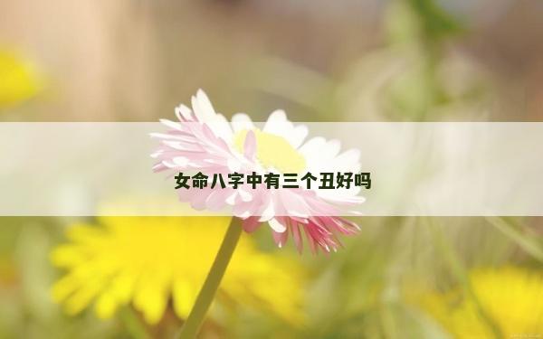 女命八字中有三個丑好嗎