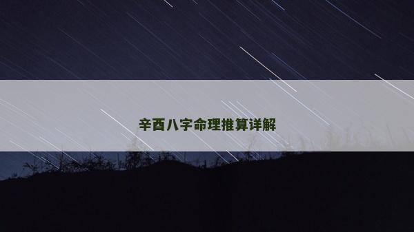 辛酉八字命理推算詳解