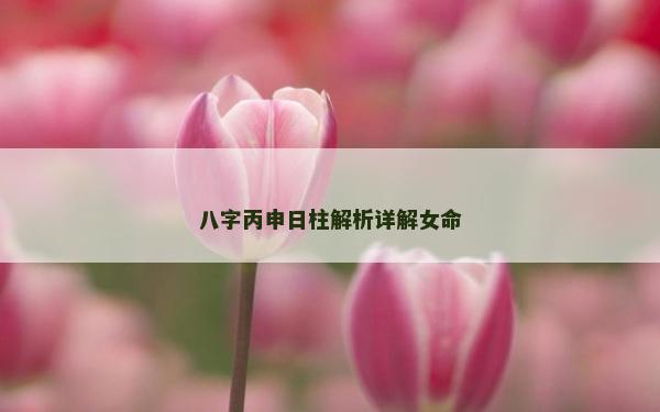 八字丙申日柱解析詳解女命