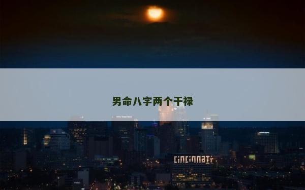 男命八字兩個干祿