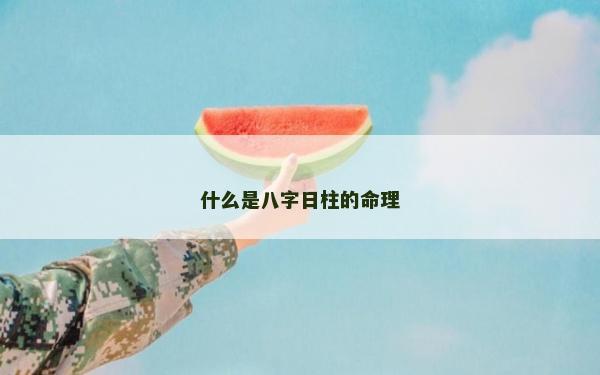 什么是八字日柱的命理