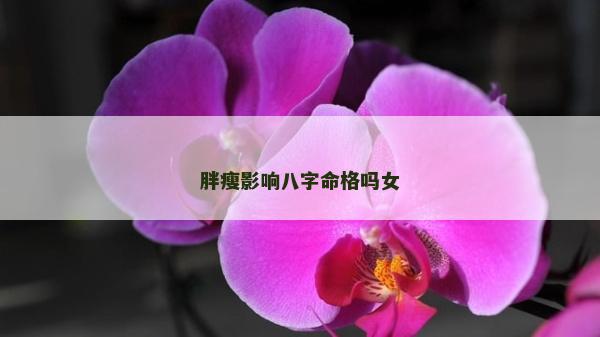 胖瘦影響八字命格嗎女