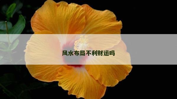 風水布局不利財運嗎