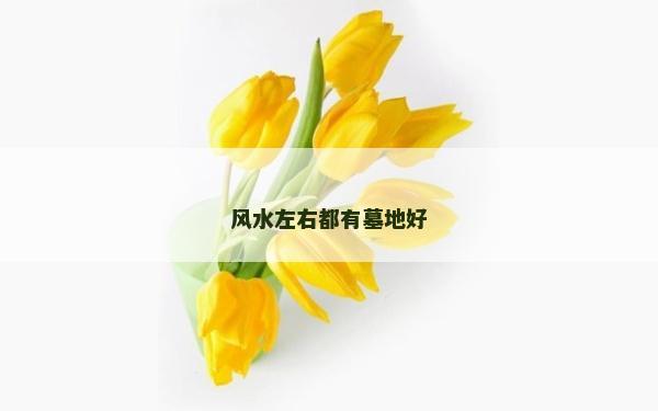 風水左右都有墓地好