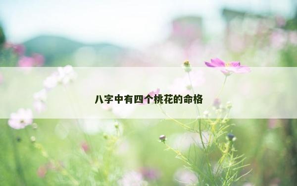 八字中有四個桃花的命格