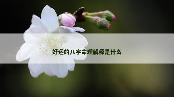 好運的八字命理解釋是什么