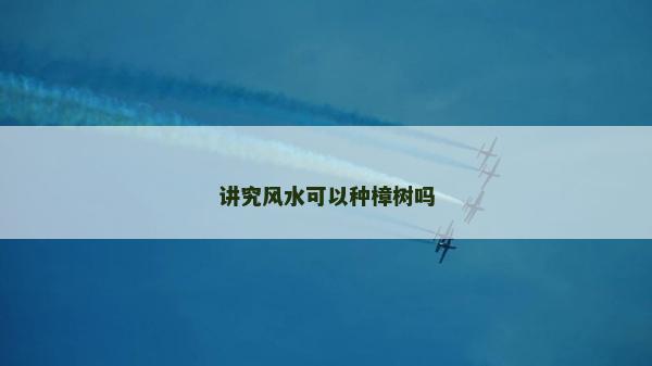 講究風水可以種樟樹嗎